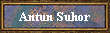 Antun Suhor