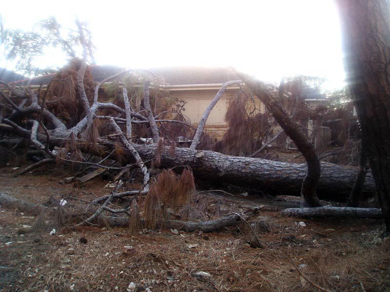 House in Lakeview 3