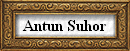 Antun Suhor